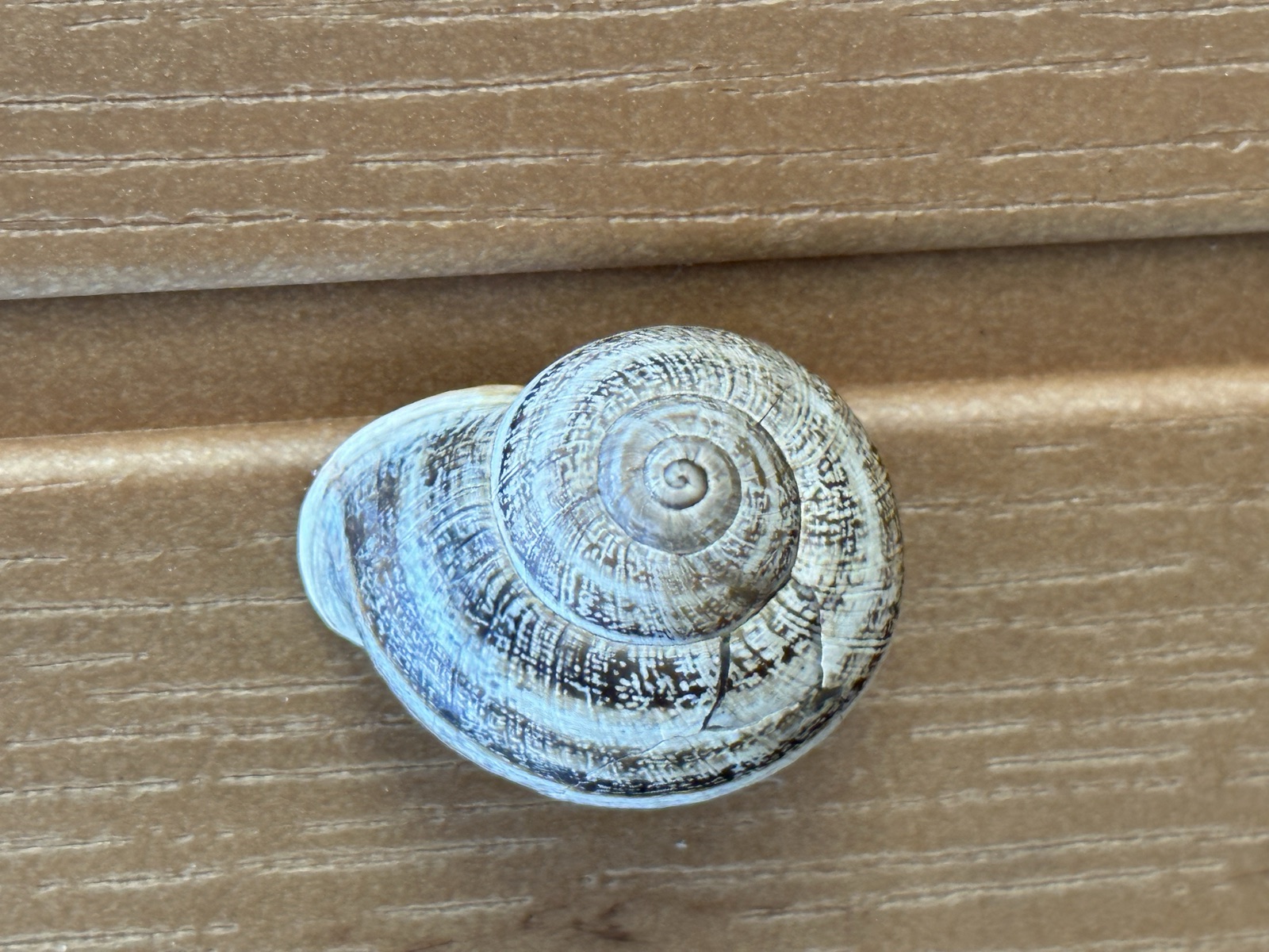 Spiral, From Above